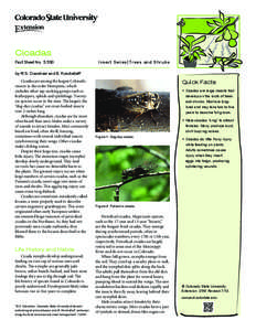 Cicadas Fact Sheet No.	[removed]Insect Series|Trees and Shrubs  by W.S. Cranshaw and B. Kondratieff*