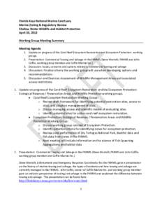 Florida Keys National Marine Sanctuary Marine Zoning & Regulatory Review Shallow Water Wildlife and Habitat Protection April 30, 2013 Working Group Meeting Summary Meeting Agenda
