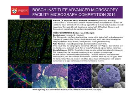 BOSCH INSTITUTE ADVANCED MICROSCOPY FACILITY MICROGRAPH COMPETITION 2014 WINNER OF STUDENT PRIZE: Michael Kahramanian (Anatomy & Histology) Colocalisation of obscurin and Connexin-43 at the cardiac intercalated disc: Hum