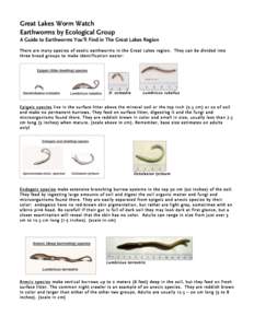 Great Lakes Worm Watch Earthworms by Ecological Group A Guide to Earthworms You’ll Find in The Great Lakes Region Ther e are m any s pec ies of exoti c e arth wor ms in t he Gre at L a kes regio n. The y c an be divi d