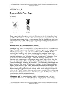 Hemiptera / Agricultural pest insects / Miridae / Pollination management / Lygus / Beekeeping / Alfalfa / Nabidae / Software bug / Pollination / Plant reproduction / Phyla