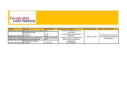 Gemeindeförderungen_Saalfelden.xlsx