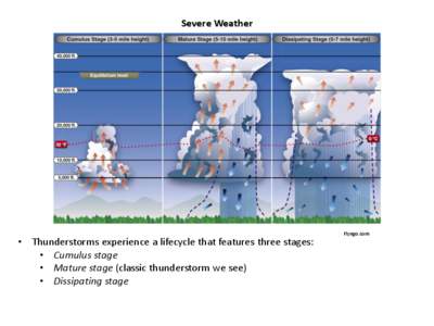 Severe Weather  NOAA • Thunderstorms experience a lifecycle that features three stages: • Cumulus stage