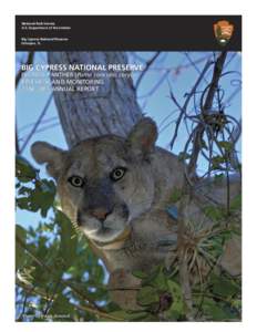 Geography of the United States / Florida panther / Flooded grasslands and savannas / Big Cypress National Preserve / Everglades National Park / Big Cypress / Tropical hardwood hammock / Panther tank / Cougar / Florida / Everglades / Puma