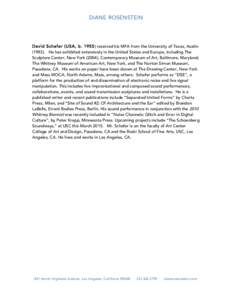 DIANE ROSENSTEIN  David Schafer (USA, breceived his MFA from the University of Texas, AustinHe has exhibited extensively in the United States and Europe, including The Sculpture Center, New York (2004),