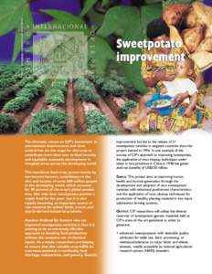 Project 5: Sweetpotato improvement and virus control  Sweetpotato improvement  The dramatic return on CIP’s investment in