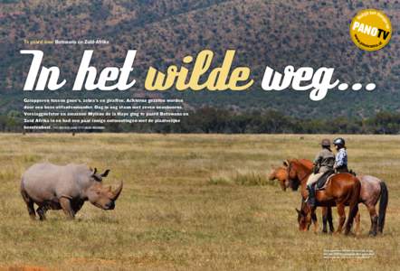 Botswana; mei 2010; panorama; mylene de la haye; limpopo; tuli horse safari. paard; west; olifant; giraf; Zuid afrika; waterberg; vaalwater; horse safari.paard; neushoorn