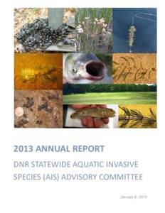 2013 ANNUAL REPORT DNR STATEWIDE AQUATIC INVASIVE SPECIES (AIS) ADVISORY COMMITTEE January 6, 2014  DNR STATEWIDE AIS ADVISORY COMMITTEE 2013 ANNUAL REPORT