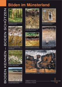Geologischer Dienst NRW, Krefeld, Plakatserie Böden, Böden im Sauerland, Dworschak, Hornig, Dickhoff, Amend, Screen-Version