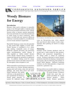 Energy / Environment / Energy crops / Biomass / Forestry / Lignocellulosic biomass / Energy forestry / Short rotation coppice / Sustainability / Bioenergy / Biofuels