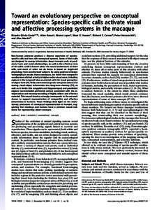 Toward an evolutionary perspective on conceptual representation: Species-specific calls activate visual and affective processing systems in the macaque Ricardo Gil-da-Costa*†‡§, Allen Braun*, Marco Lopes‡, Marc D.