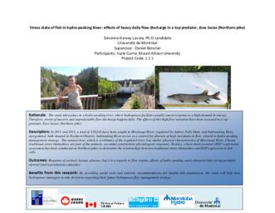 Stress state of fish in hydro-peaking River: effects of heavy daily flow discharge in a top predator, Esox lucius (Northern pike) Simonne Harvey-Lavoie, Ph.D candidate Université de Montréal Supervisor : Daniel Boiscla
