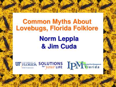 Common Myths About Lovebugs, Florida Folklore Norm Leppla & Jim Cuda  Lovebugs are