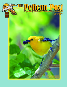 THE  Pelican Post A quarterly publication - Weeks Bay Foundation Spring 2010 Vol. 25, No. 1