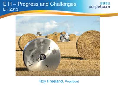 E H – Progress and Challenges EH 2013 Roy Freeland, President  Progress