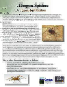 Oregon Spiders Facts and Fiction Oregon has at least 500 species of spiders. Most spiders are small and rarely encountered, living in forest litter, rock crevices, rotten logs, and similar habitats. There are a dozen or 
