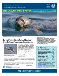 STELLWAGEN BANK E-NOTES: sanctuary news & events  Credit: SBNMS file photo by Elliott Hazen. Photo taken under NOAA Fisheries Permit #14245 Harbor Seal Visitor
