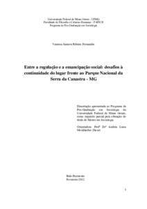 Universidade Federal de Minas Gerais - UFMG Faculdade de Filosofia e Ciências Humanas - FAFICH Programa de Pós-Graduação em Sociologia Vanessa Samora Ribeiro Fernandes