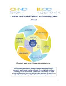 A BLUEPRINT FOR ACTION FOR COMMUNITY HEALTH NURSING IN CANADA Release 1.1 © Community Health Nurses of Canada - Graphic Revised[removed]It is of paramount importance to achieve clarity on the scope and roles of