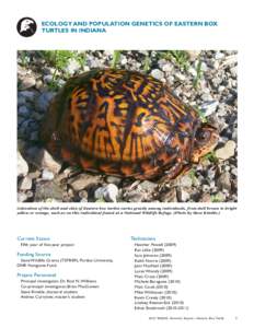 ECOLOGY AND POPULATION GENETICS OF EASTERN BOX TURTLES IN INDIANA Coloration of the shell and skin of Eastern box turtles varies greatly among individuals, from dull brown to bright yellow or orange, such as on this indi