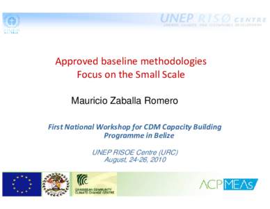 Approved baseline methodologies Focus on the Small Scale Mauricio Zaballa Romero First National Workshop for CDM Capacity Building  Programme in Belize  UNEP RISOE Centre (URC)