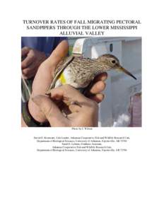 TURNOVER RATES OF FALL MIGRATING PECTORAL SANDPIPERS THROUGH THE LOWER MISSISSIPPI ALLUVIAL VALLEY