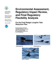 Pelagic Longline Take Reduction Plan: Environmental Assessment, Regulatory Impact Review, and Regulatory Flexability Analysis