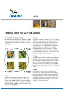 Falterblatt_Gartenbesitzer.indd