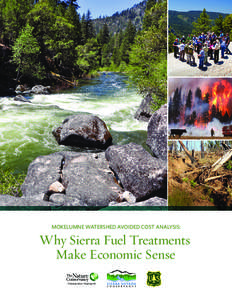 MOKELUMNE WATERSHED AVOIDED COST ANALYSIS:  Why Sierra Fuel Treatments Make Economic Sense  Appendix G: North Fork Mokelumne River
