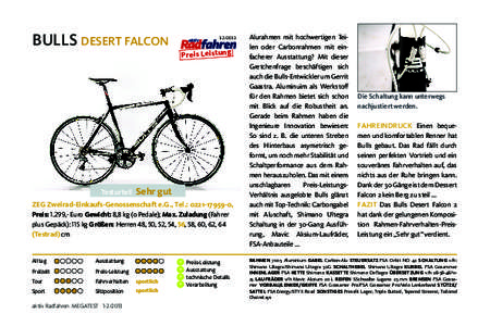 Bulls Desert Falcon  Testurteil aktiv