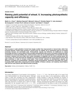 Journal of Experimental Botany, Vol. 62, No. 2, pp. 453–467, 2011 doi:jxb/erq304 Advance Access publication 27 October, 2010 REVIEW PAPER  Raising yield potential of wheat. II. Increasing photosynthetic