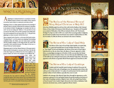 Catholic spirituality / Roman Catholic Mariology / Titles of Mary / Marian apparitions / Shrines to the Virgin Mary / Blessed Virgin Mary / Our Lady of Guadalupe / Shrine of Our Lady of Good Help / Basilica of the National Shrine of the Immaculate Conception / Christianity / Catholicism / Marian shrines