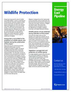 Energy East Pipeline Wildlife Protection Energy East recognizes the value of wildlife