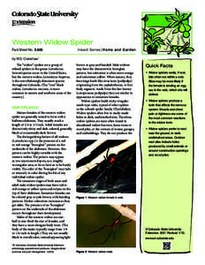 Western Widow Spider Fact Sheet No.	[removed]Insect Series| Home and Garden  by W.S. Cranshaw*