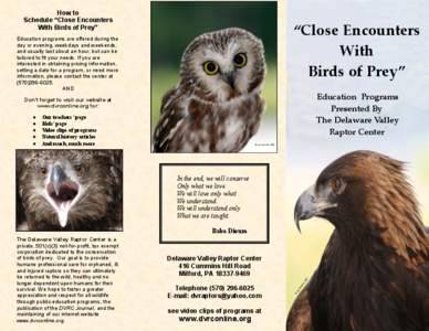 How to Schedule “Close Encounters With Birds of Prey” “Close Encounters With