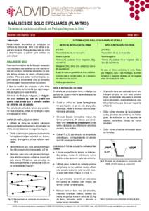 ANÁLISES DE SOLO E FOLIARES (PLANTAS) Elementos de apoio à sua utilização em Produção Integrada da Vinha Bolem InformavoMaio 2013