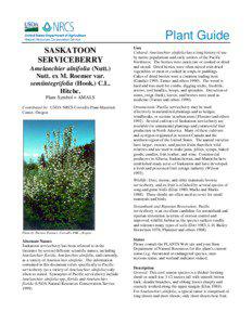 Flora of Saskatchewan / Amelanchier / Gymnosporangium / Saskatoon / Flora of the United States / Amelanchier alnifolia / Berries