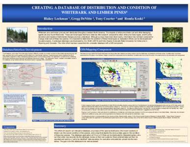 Creating A Database Of Distribution And Condition Of Whitebark And Limber Pines4