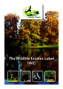 43400 Wildlife brochure EN:Layout 1