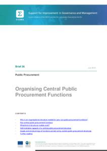 Brief 26  July 2013 Public Procurement