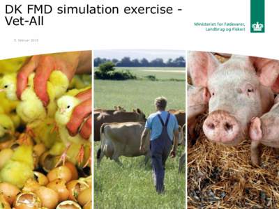 DK FMD simulation exercise Vet-All 5. februar 2015 Aim VET – ALL was a full scale exercise with the aim at: