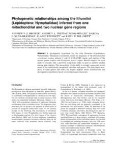 Melinaea / Oleria / Athesis / Aeria / Hypoleria / Tithorea harmonia / Greta / Brevioleria / Episcada / Ithomiini / Ithomia / Mechanitis