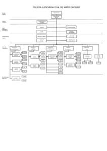 POLÍCIA JUDICIÁRIA CIVIL DE MATO GROSSO Diretoria Geral Direção Superior