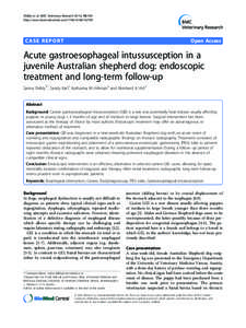 Carriage of methicillin-resistant Staphylococcus pseudintermedius in dogs--a longitudinal study