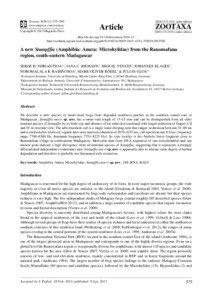 A new Stumpffia (Amphibia: Anura: Microhylidae) from the Ranomafana region, south-eastern Madagascar