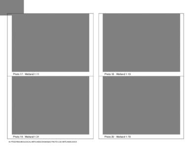 Photo 17 - Wetland[removed]Photo 18 - Wetland 1-19 Photo 19 - Wetland 1-31