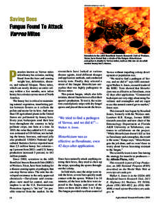 STEPHEN AUSMUS (K11145-17)  Saving Bees Fungus Found To Attack Varroa Mites