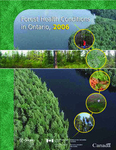 Forest Health Conditions in Ontario, 2006