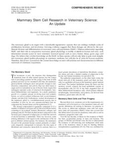 Stem cells / Developmental biology / Breast anatomy / Mammary gland / Adult stem cell / Myoepithelial cell / Cell culture / Cancer stem cell / Mammary tumor / Biology / Biotechnology / Cell biology