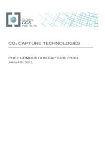 Microsoft Word - CO2 Capture Technologies - Section 2